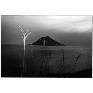 一枝獨秀1989八丈島