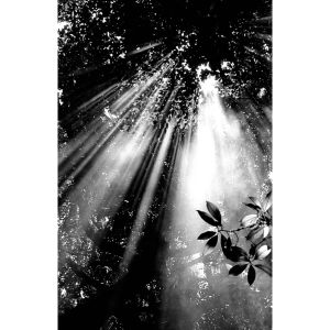 光影效果(2)受光陶冶2018日月潭