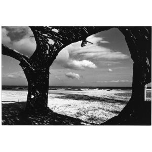 秋高氣爽2020鹽寮